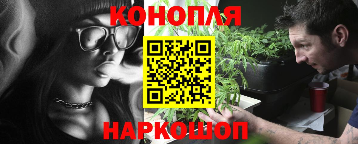 Александров  Бошки Шишки конопля  Конопля индика  Конопля ГИДРОПОН  Вход с VPN 